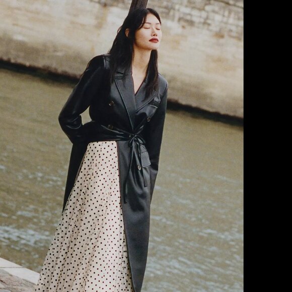 Daniel Rainn x Anthropologie Tulle Polka Dot Midi Skirt - Picture 4 of 8